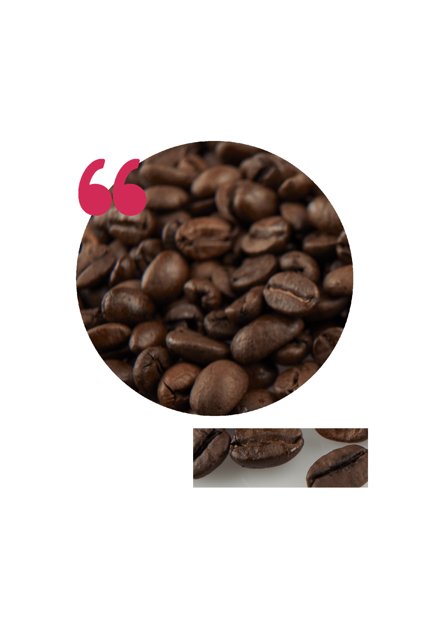 Custom Development 2 Knowledgeable, flexible, proactive and supremely energetic. They are always full of ideas, and have a genuine interest in helping others to connect and grow. They are also a thoroughly lovely team too!